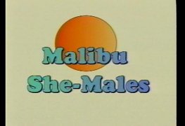 1996-malibu-she-males/