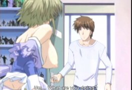 As gatas do Akiba [Hentai]