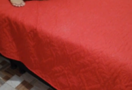 Eu Vejo Minha Irmã E Ela Me Excita+22