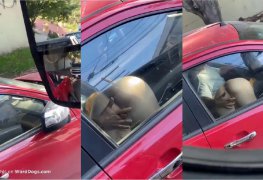 Motorista flagra a putaria rolando solta em pleno transito