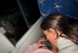 Novinha mamando no busão e ganhando gozada na boca