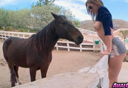 Novinha tesuda pelada e nua e seu cavalo