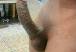 Novinho pirocudo