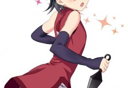 Sarada sexo