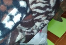 Sexo anal com minha cunhada Alessandra