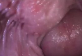 Sexo por dentro -